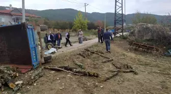 Odun yüklü traktör devrildi: 1 ölü, 1 yaralı