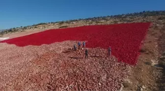 ZEMİNE İŞLENMİŞ EN BÜYÜK TÜRK BAYRAĞI BOYANIYOR