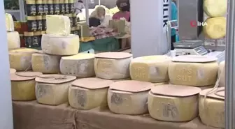 Başkent'te 3 şehrin tanıtım günü etkinliği düzenlendi