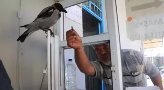 TUVALET PARASINI KARGANIN AĞZINA BIRAKIYORLAR