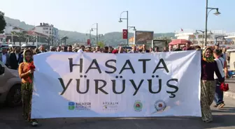 Zeytin Hasat Festivali bu yıl, 28-31 Ekim tarihleri arasında gerçekleştirilecek