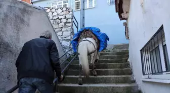 Araçların giremediği mahalleye atıyla yük servisi yapıyor! Ton başına 150 lira kazanıyor