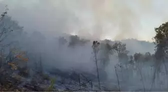 Bingöl'de çıkan orman yangını söndürüldü