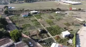 Bursa'da üretilen farklı tür kabakların yaygınlaşması hedefleniyor