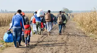 Belarus'un yaptırım intikamı! Göçmenleri turist olarak ülkeye alıp, AB'ye yasa dışı geçişini sağlıyorlar