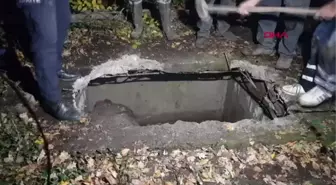 SU KUYUSUNA DÜŞEN İNEK, VİNÇLE KURTARILDI