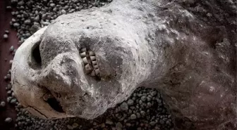 15 dakikada herkes ölmüştü! Pompeii'den sağ çıkan tek kişinin kemikleri bulundu