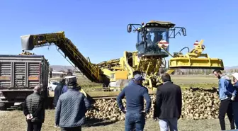 Bayburt'ta bu yıl hedeflenen şeker pancarı üretimi 72 bin 500 ton