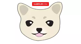 Kishu Coin (KISHU) nedir, nasıl alınır? Kishu Inu güncel yorum ve grafiği! Kishu Inu ne kadar, kaç TL? Kishu Inu fiyat ve geleceği hakkında bilgiler!