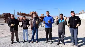 Günyüzü kantarı şeker pancarı sezonuna hazır