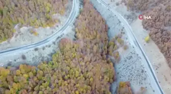 Yozgat ormanlarında renk cümbüşü havadan görüntülendi