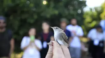 Antalya'daki istasyonda bu yıl 5 bin 200 kuş halkalandı