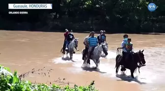 At Üstünde Aşı Olmaya Gidiyorlar