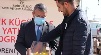 İzmirli Üreticilere 4 bin 800 Küçükbaş Hayvan Hibe Edildi