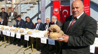 BU DA 'EN GÜZEL PATATES' YARIŞMASI