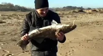 Amatör balıkçının en mutlu günü! Oltasına gelen balıkla havalara uçtu