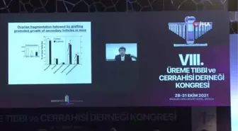 Prof.Dr. Timur Gürgan, 'Avrupa'da da kabul gören balanslama tekniği gebeliği yüzde 45 arttırıyor'