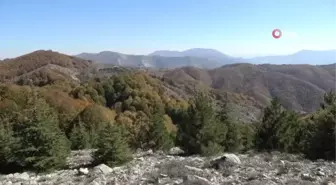 Renk cümbüşüyle mest eden bürünen Dumanlı Yaylası, doğaseverlerin vazgeçilmezi oldu