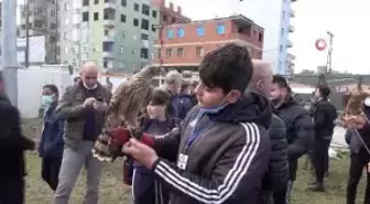 -Rize'nin atmacacılık kültürü 'Fetival' ile taçlandı