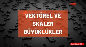 Vektörel büyüklükler nelerdir? Skaler büyüklükler nelerdir? Skaler ve Vektörel büyüklüklere örnekler, aralarındaki farklar ve konu anlatımı!