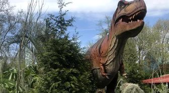 Dinozorların Dönemini, Bir Başka Yok Oluş Başlatmış!