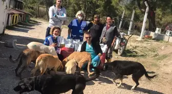 Konak'tan Şopengazi'nin can dostlarına yardım eli