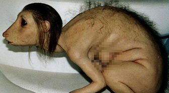 Kur'an-ı Kerim'i yırtan kız olayı nedir? Kur'an-ı Kerim'i yırtan kız maymuna mı dönüştü?