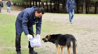 Patili dostlara 1 ton mama yardımı yapıldı