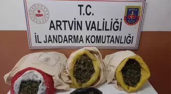 Artvin'de uyuşturucu operasyonunda 2 şüpheli tutuklandı