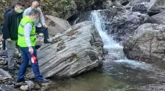 Giresun'da selde zarar gören alabalık popülasyonu için derelere 25 bin yavru salındı