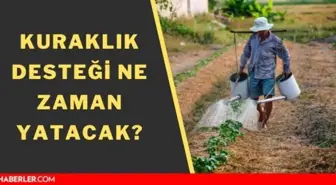 Kuraklık desteği ne zaman verilecek? Kuraklık desteği ne zaman yatacak?