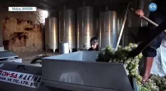 Süryaniler Kültürlerini Şarapla Yeniden Canlandırıyor