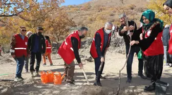 Kızılay Haftası'nda Ali Dağı'na meyve ağacı dikildi