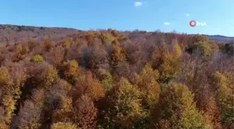 Korona virüsten kaçanlar bu köşklerde izole oluyor