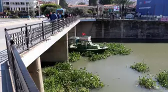 Asi Nehri'ni kaplayan su sümbüllerini temizleme çalışması sürüyor