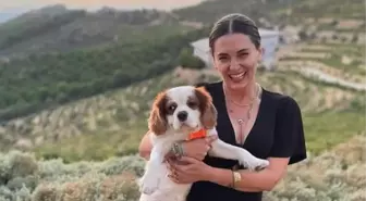 Aslıhan Gürbüz kimdir? Aslıhan Gürbüz hayatı ve biyografisi! Aslıhan Gürbüz kaç yaşında, nereli?