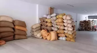 Fındık fiyatı 3 haftadır yerinde sayıyor