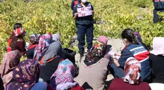 Kadın jandarmalar önce eğitim verdi sonra üzüm hasadı yaptı