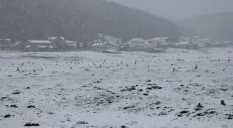 Bolu'da yoğun kar yağışı