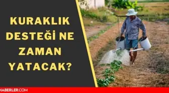 Kuraklık desteği ne zaman verilecek? 2021 Kasım kuraklık desteği ne kadar, kaç TL?