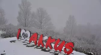 Ordu'nun yükseklerinde kar yağışı