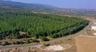 Saruhanlı'ya 'halk bahçesi' yapılacak