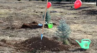 SİVAS'TA 1 MİLYON 905 BİN FİDAN TOPRAKLA BULUŞTU