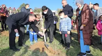 5 bin fidandan oluşan hatıra ormanı öğretmenlere armağan edildi