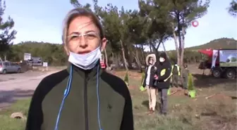 Ayvalık'ta 11 Kasım Milli Ağaçlandırma Günü kapsamında 500 fidan toprakla buluştu