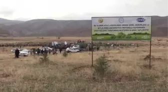 Binlerce fidan toprakla buluştu