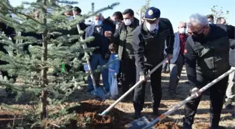 ELAZIĞ'DA 23 BİN FİDAN TOPRAKLA BULUŞTU; HEDEF 2 MİLYON 297 BİN
