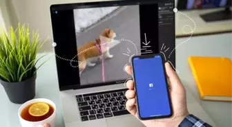 Facebook'tan Video Nasıl İndirilir?