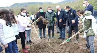 Fatsa'da dikilen fidan sayısı 5 bin 500'e ulaştı