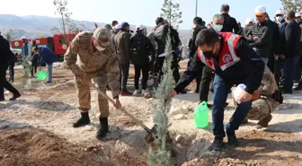 Güneydoğu'da binlerce fidan toprakla buluştu